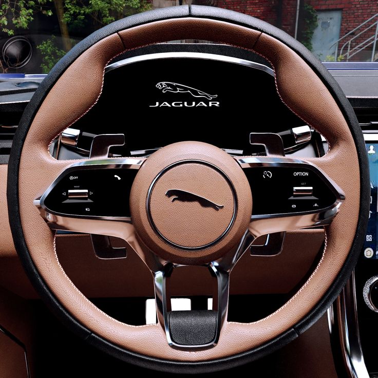 Jaguar-steering